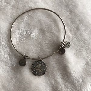 Capricorn ALEX AND ANI